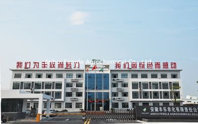 КИТАЙ Anhui Fengle Agrochemical Co., Ltd. фабрика