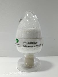 Трибенурон-метхыл95%ТК, аграрный гербицид, широкое Леавед управление появления столба засорителей