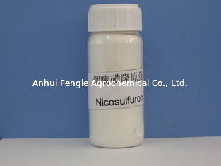 Гербицид Nicosulfuron 97% TC CAS отсутствие 111991-0904